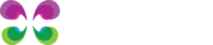CEO Buddy logo - transparent